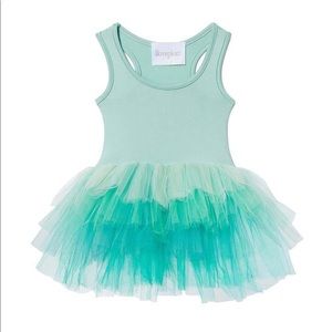 I 💚Plum Ombre Tutu Dress 2Y